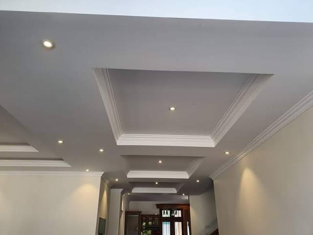Ceilings & Drywall work